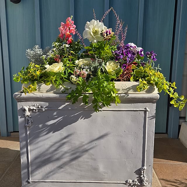 nonbiri_house_さんの部屋