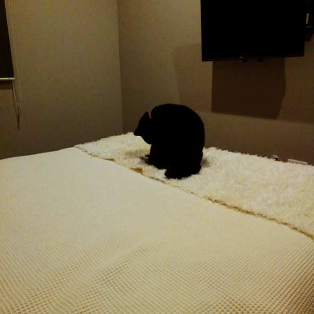 zenoさんの実例写真