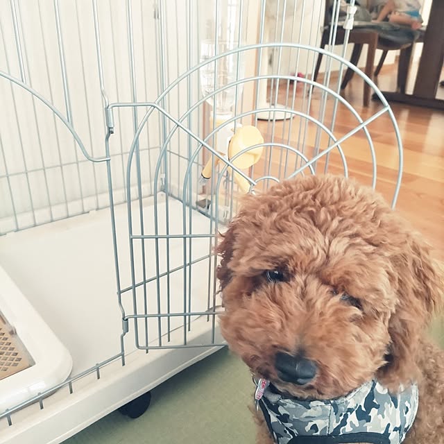 chokocreamさんの実例写真