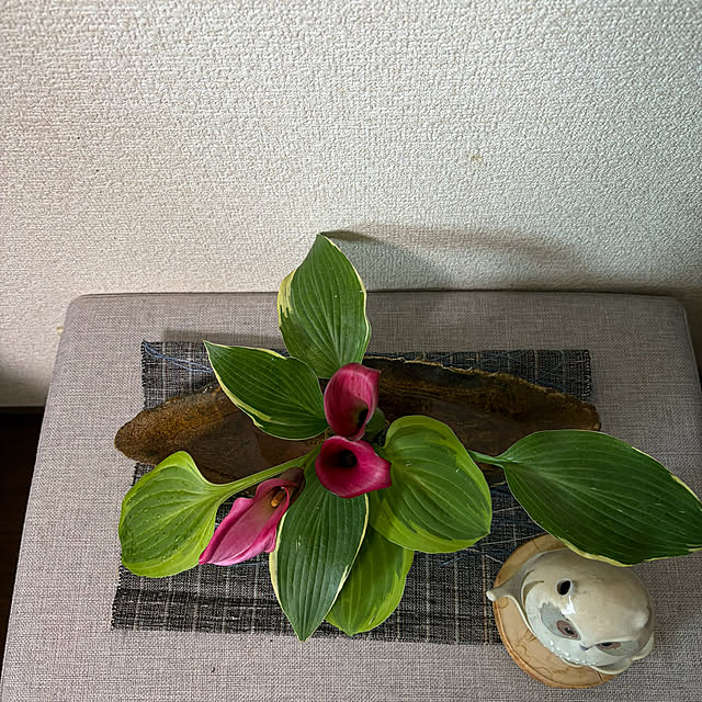 ritsukoさんの部屋
