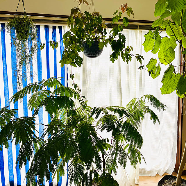 65-24oxoさんの実例写真