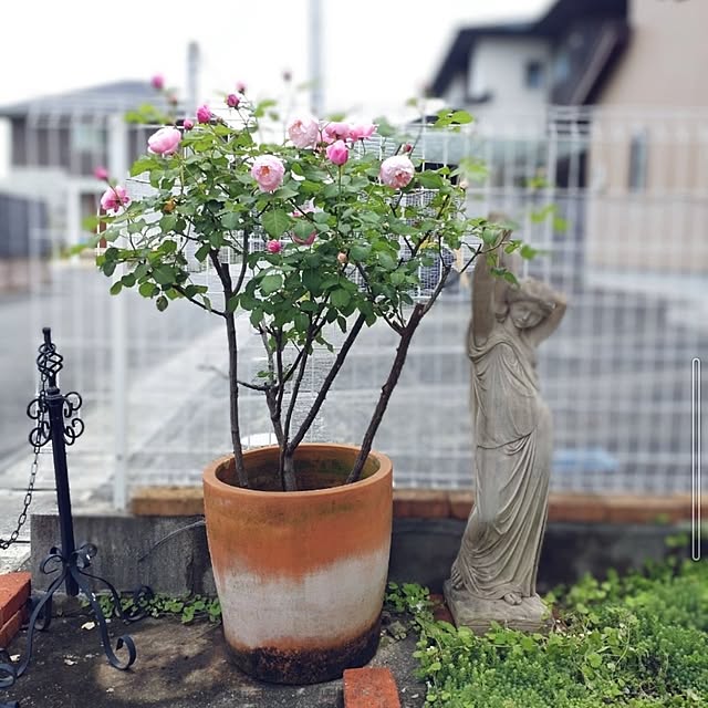 Bienvenueさんの部屋