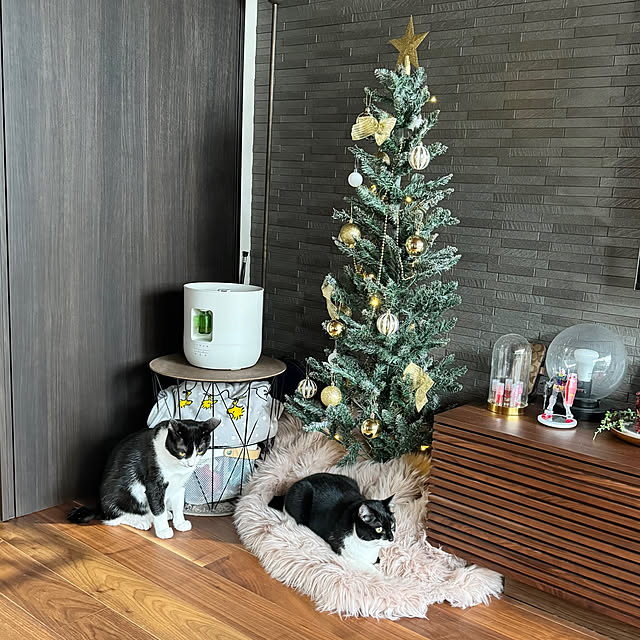 porinさんの実例写真
