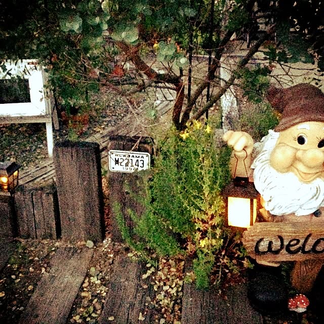 実例写真