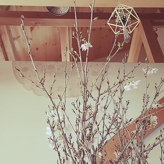 t.yumiさんの部屋