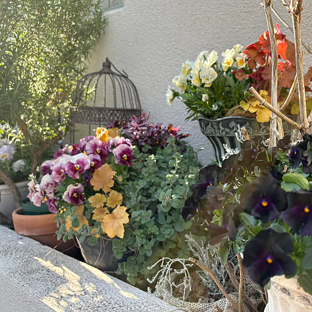 AINIさんの実例写真