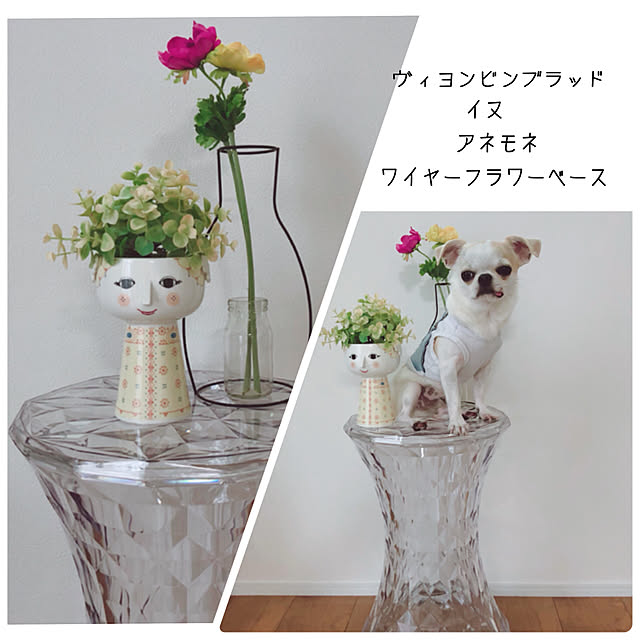 Emiさんの実例写真