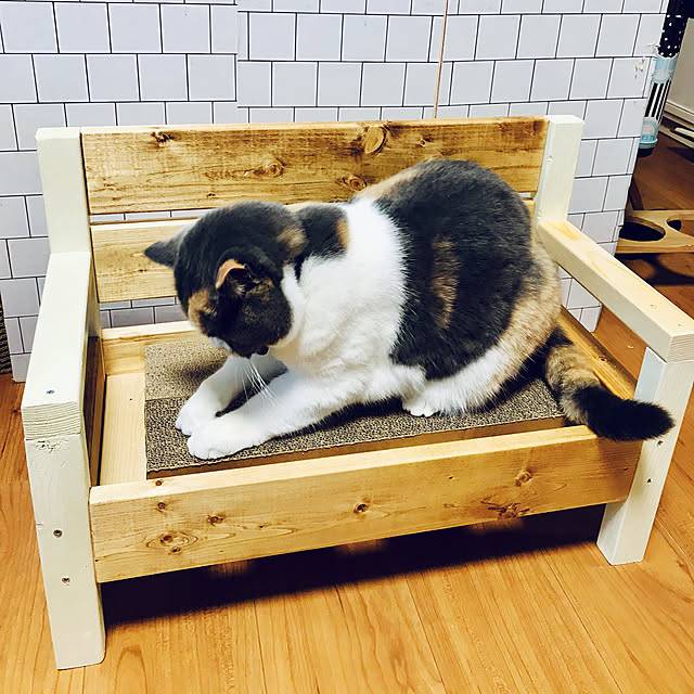 bambi_eyeさんの実例写真
