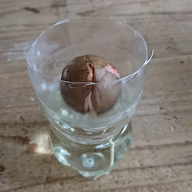 harupippiさんの実例写真