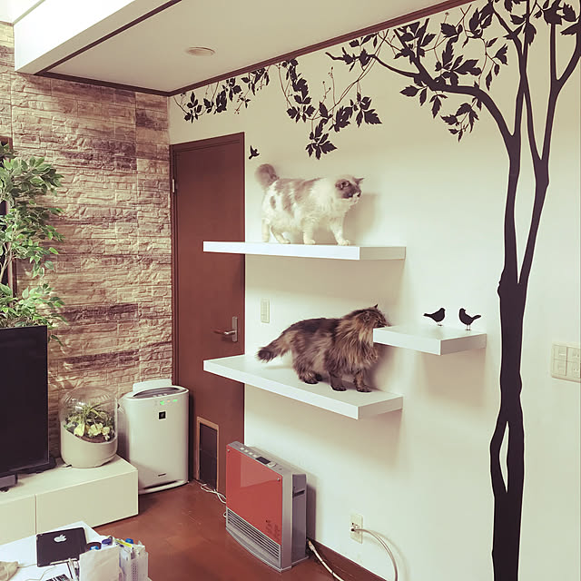 naru5031さんの実例写真