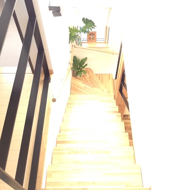Kenroさんの実例写真