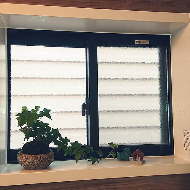 iegomori0621さんの部屋
