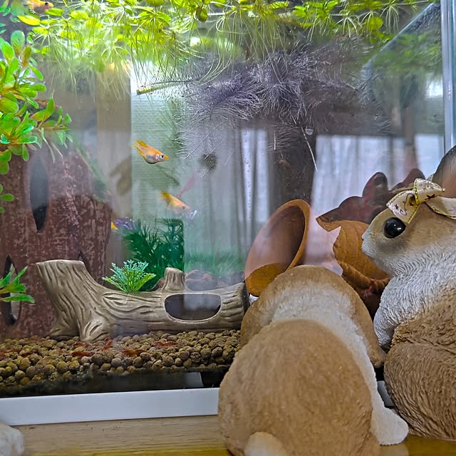 mariaさんの実例写真