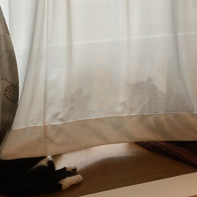 miruさんの実例写真