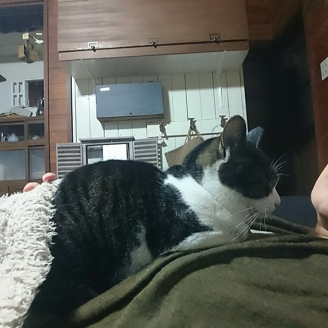 yukiさんの実例写真