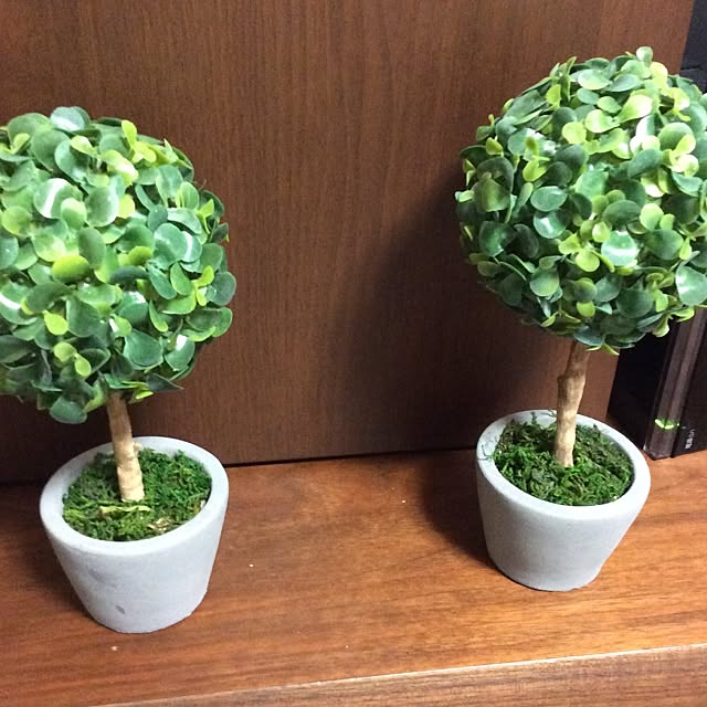 pataさんの部屋