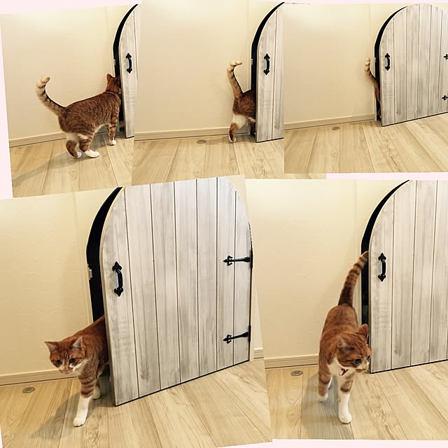 myuuさんの実例写真