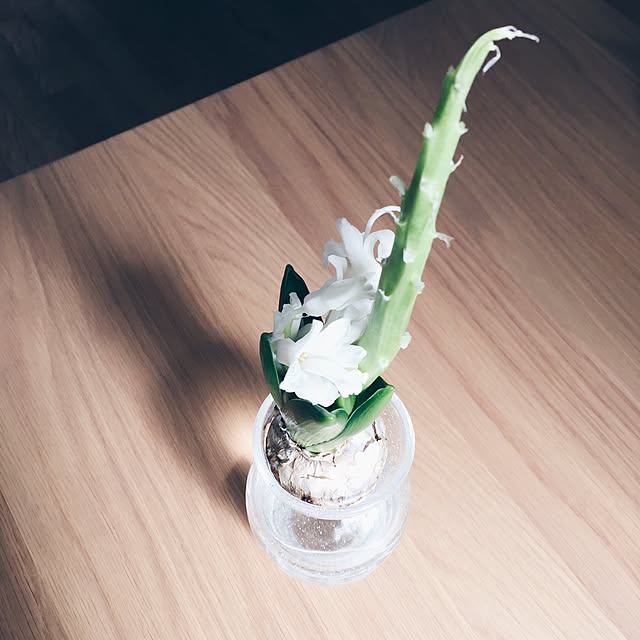 zumi08xxさんの実例写真