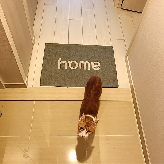 3122さんの実例写真