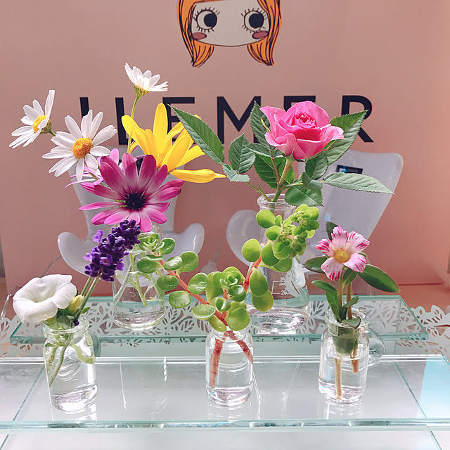 miyuさんの実例写真