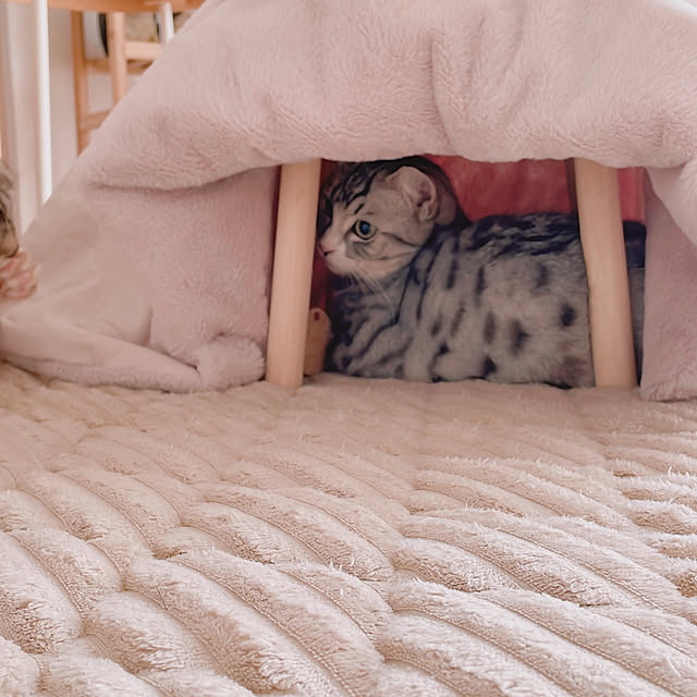 milkcocoaさんの部屋