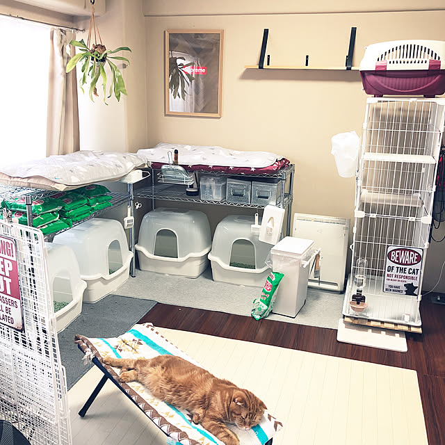 NEKOARUKIさんの実例写真