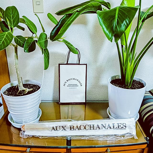 hanachanさんの部屋