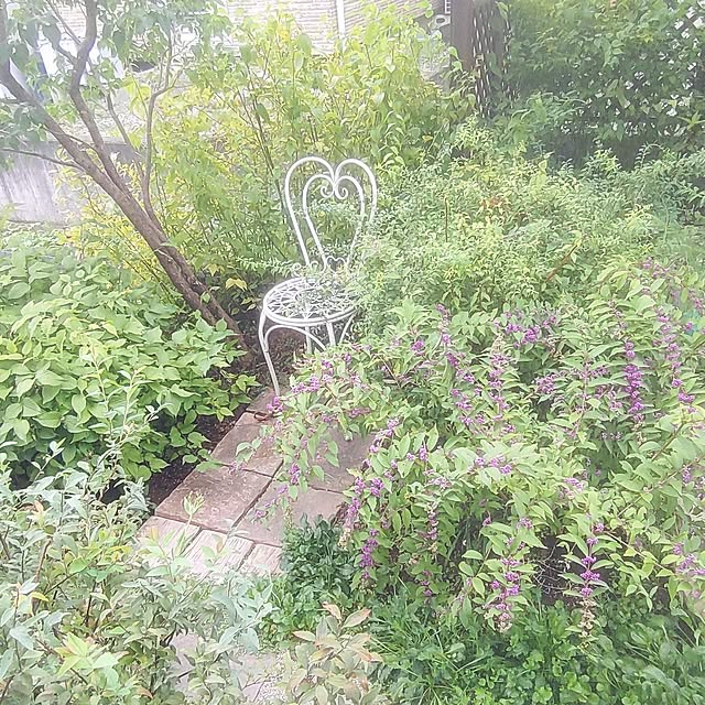 Hujikoさんの実例写真