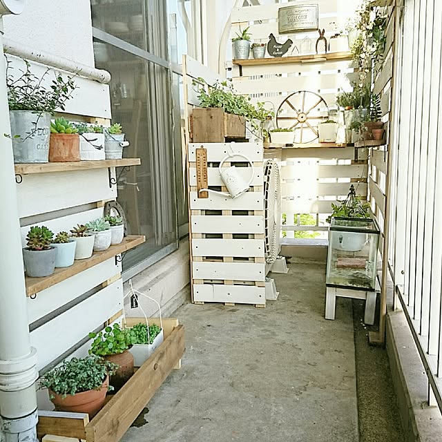 miporin0711さんの実例写真