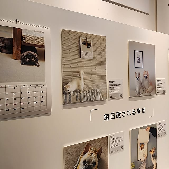 tomatoさんの部屋