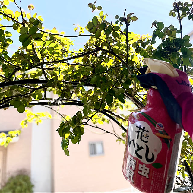 asako.10さんの部屋