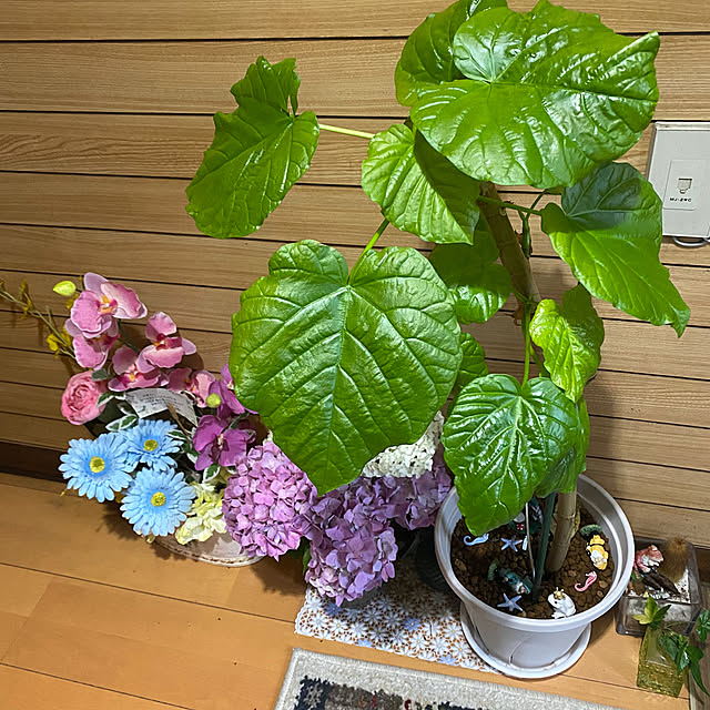 soyominさんの部屋