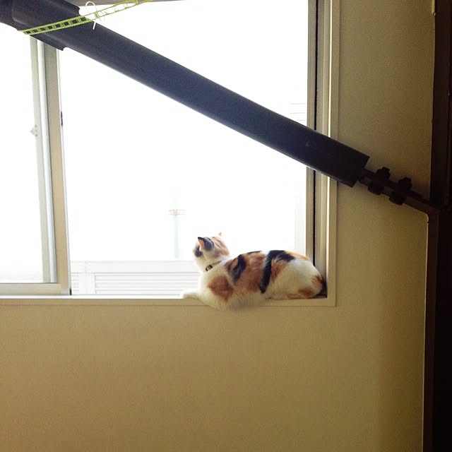 takeruTKさんの実例写真