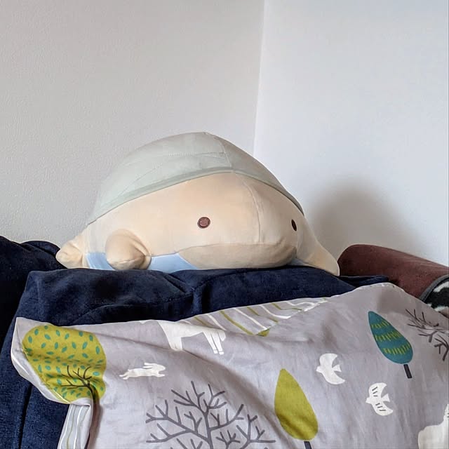 mi-saさんの実例写真