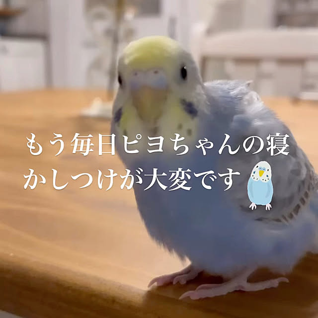 Atsukoさんの部屋