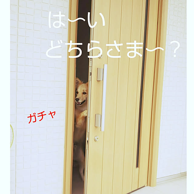 kaoriさんの実例写真