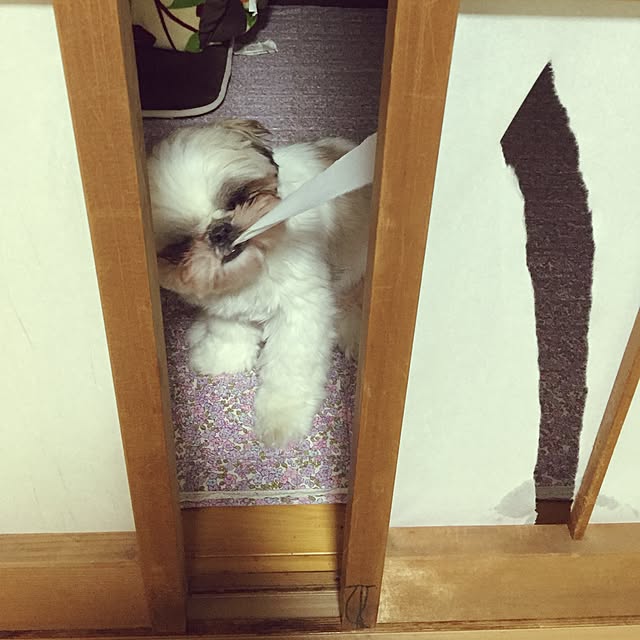Kanamiさんの実例写真