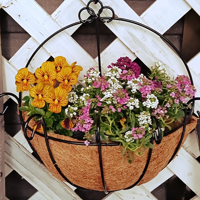 maaamiさんの実例写真