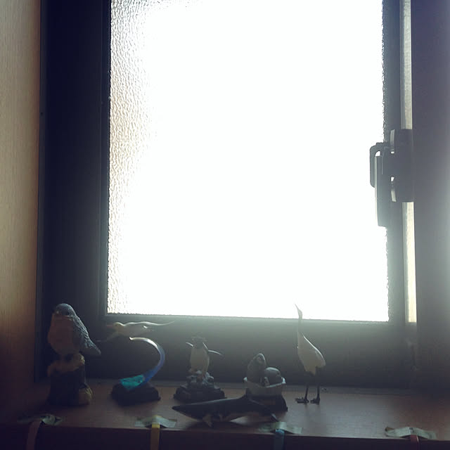 aoinokimiさんの実例写真