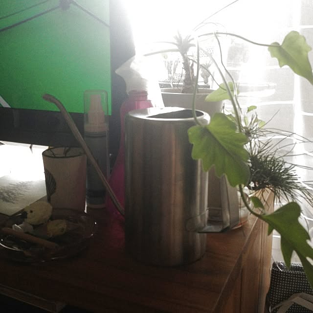 sprg_y7さんの実例写真