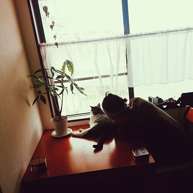 Nemutagarionさんの実例写真