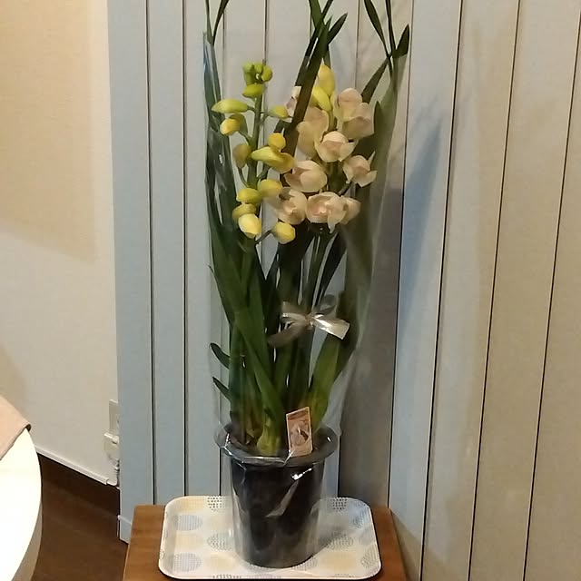 sueranさんの実例写真