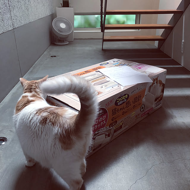 makimakiさんの部屋