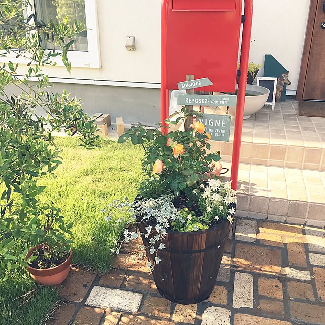 kajitta.ringoさんの実例写真