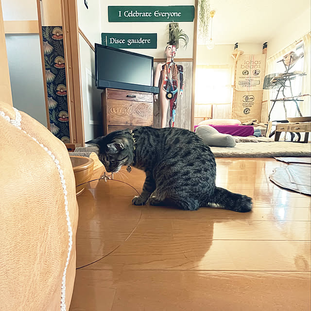 Mさんの実例写真