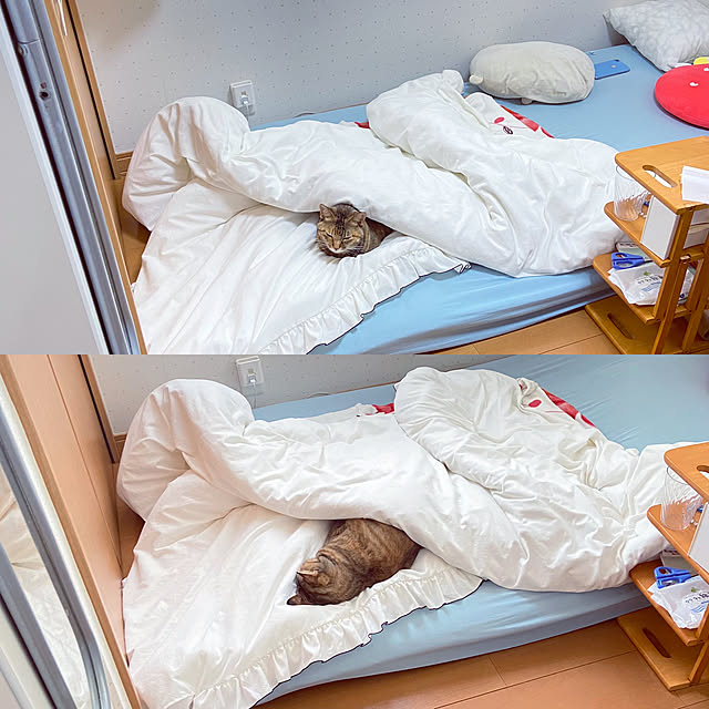 hansho.sさんの実例写真