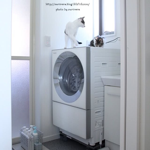 surireraさんの実例写真