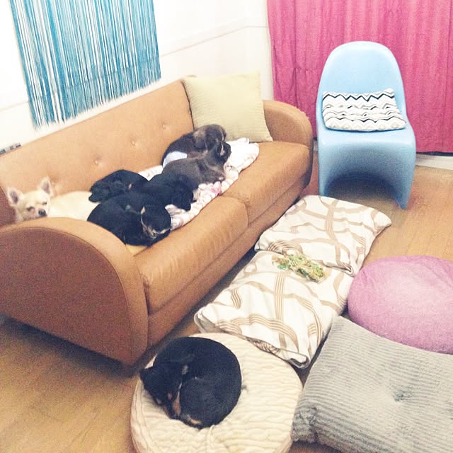 tomi329さんの実例写真