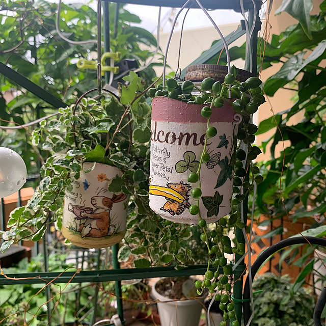 Aqettyさんの部屋