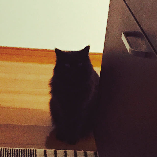 minamiさんの実例写真
